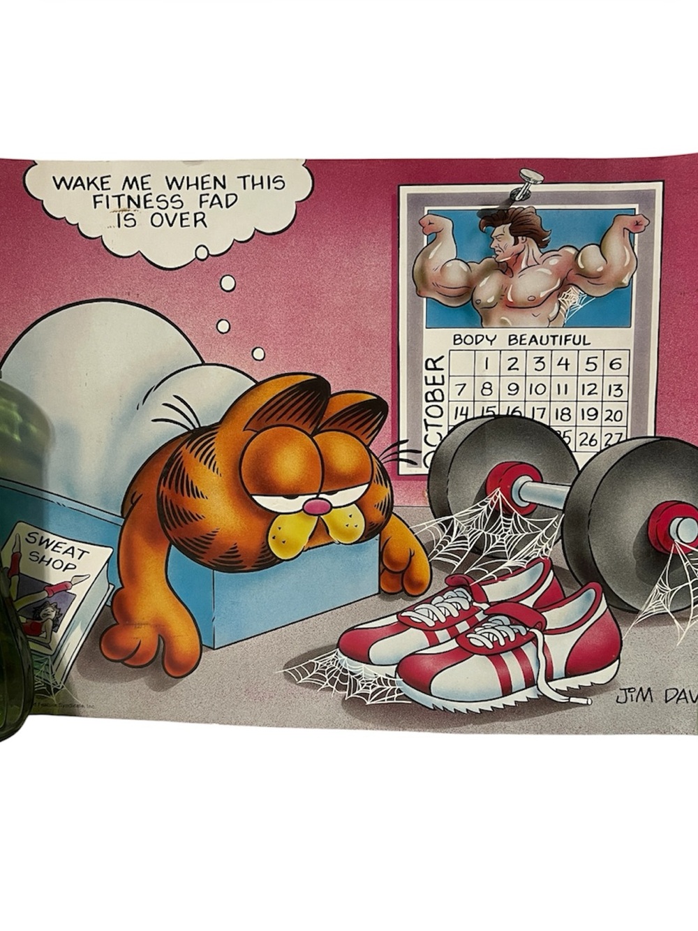 Vintage Garfield  Posters Jim Davis  13 x 19  ARGUS Classroom School Fitness Fad